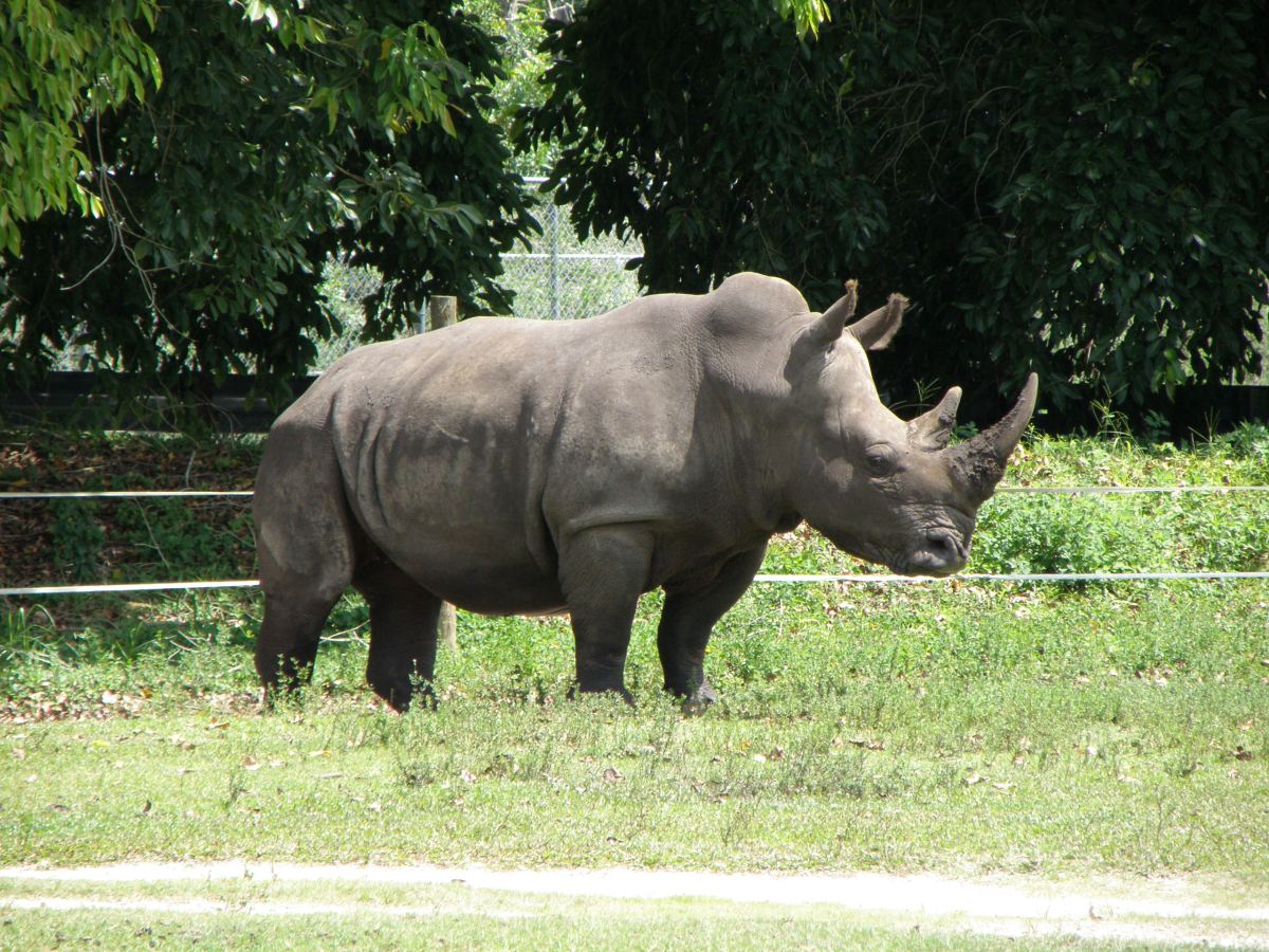Último día en Florida: Palm&nbsp;Beach