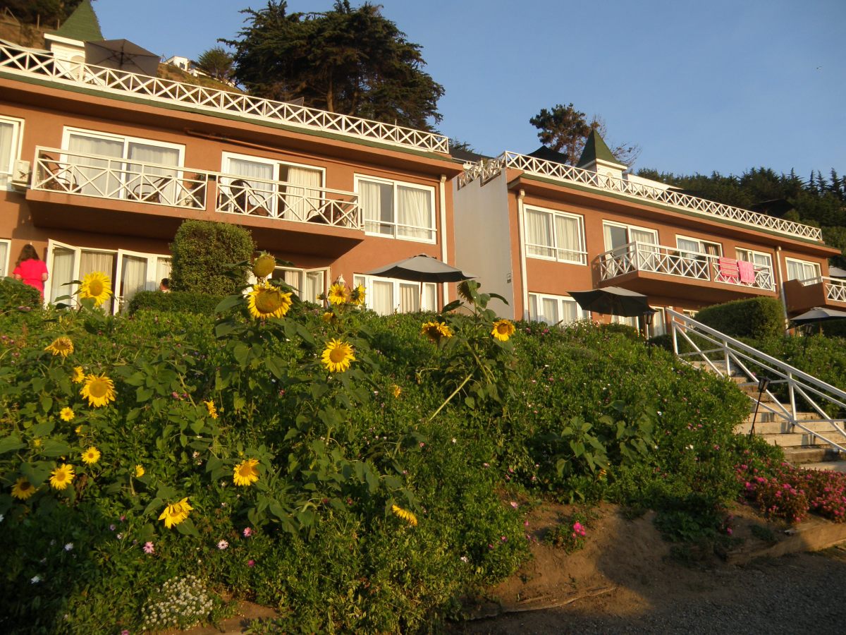 Día 7: Descanso en tierra&nbsp;chilena