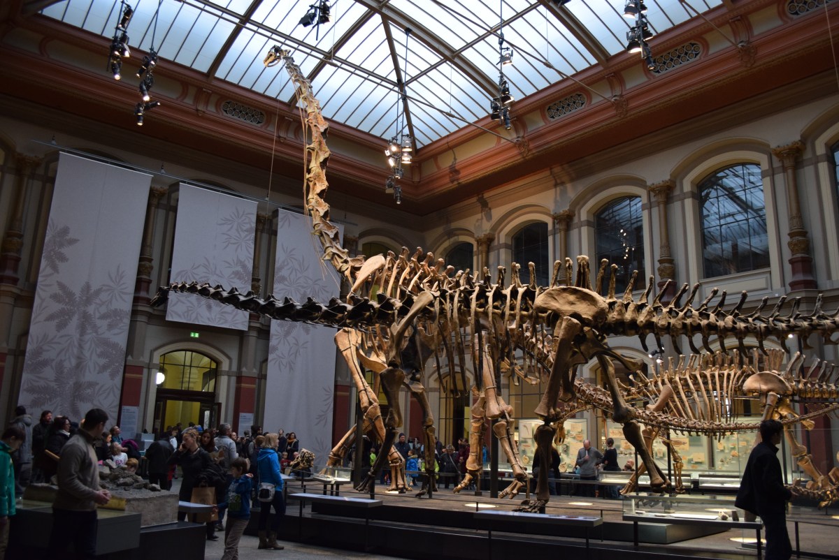 Día 3 – Primer paseo por&nbsp;Berlín